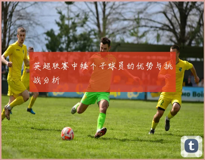 英超联赛中矮个子球员的优势与挑战分析