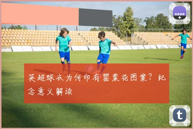 英超球衣为何印有罂粟花图案？纪念意义解读