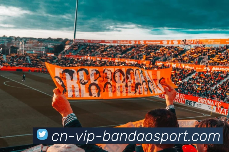 半岛体育平台生态图